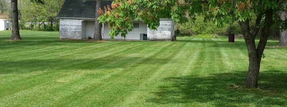 Best Quality Lawn Care Services