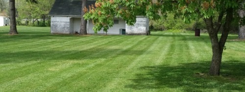 Best Quality Lawn Care Services